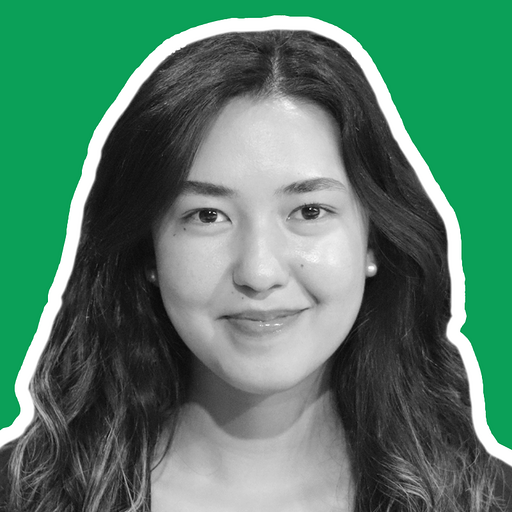 Aizhan Khalikova avatar